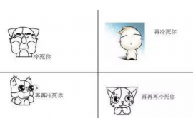 七星要账公司更多成功案例详情